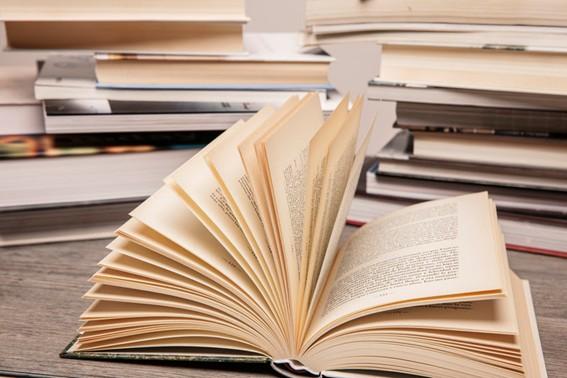 Consciência Negra: conheça 12 autores negros da literatura brasileira