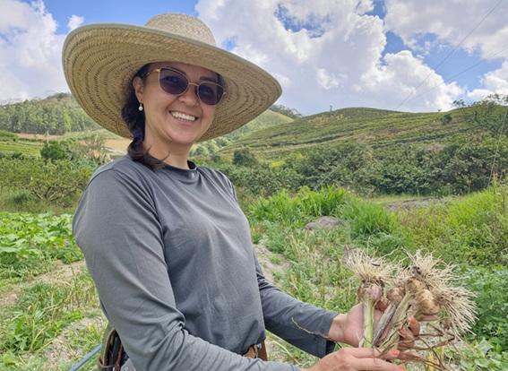 Incaper e Embrapa impulsionam renascimento da produção de alho no Espírito Santo