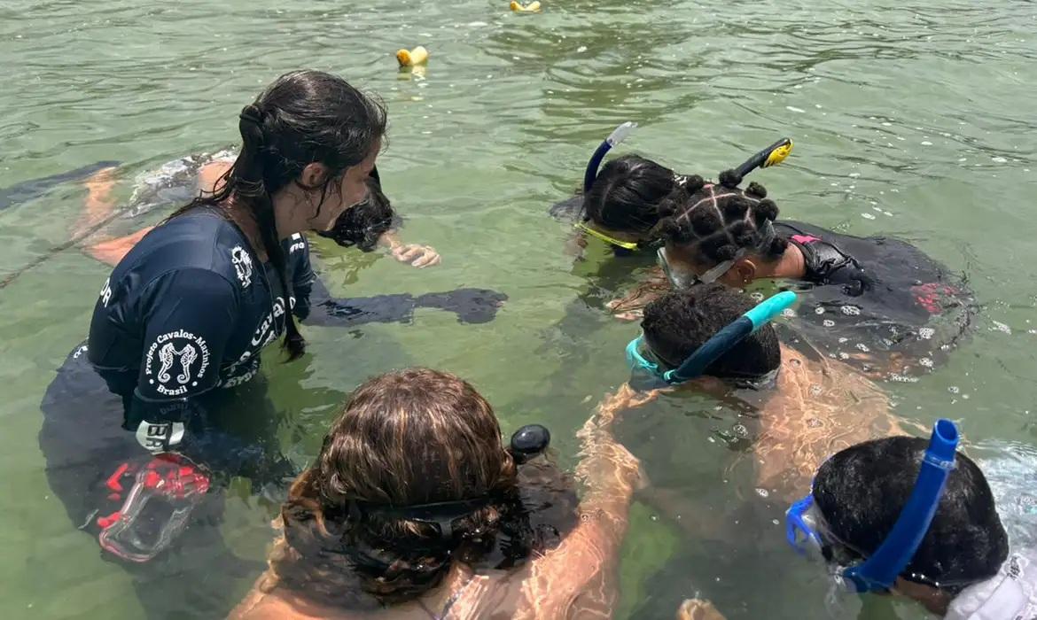 Projeto no Rio forma guardiões de cavalos-marinhos de 12 a 14 anos