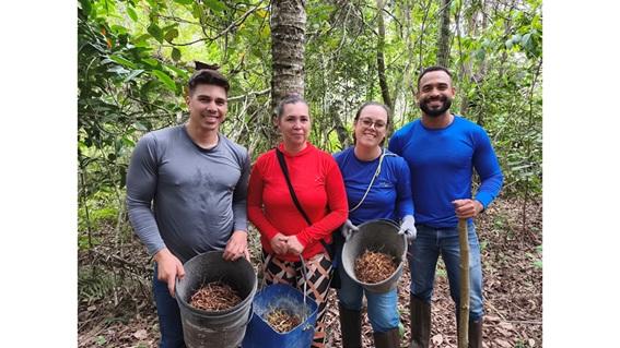 Projeto incentiva o plantio de sementes pré-germinadas de palmeira juçara, em Linhares, no ES