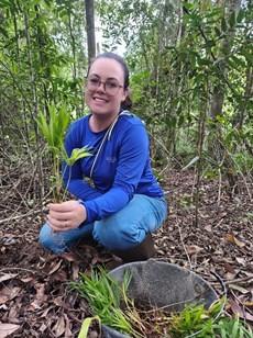 Projeto incentiva o plantio de sementes pré-germinadas de palmeira juçara, em Linhares, no ES