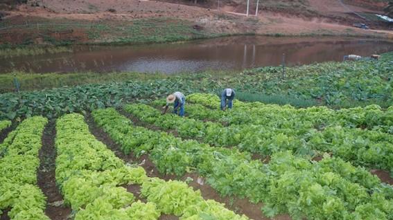 Incaper divulga nova publicação do Boletim Agroclimático