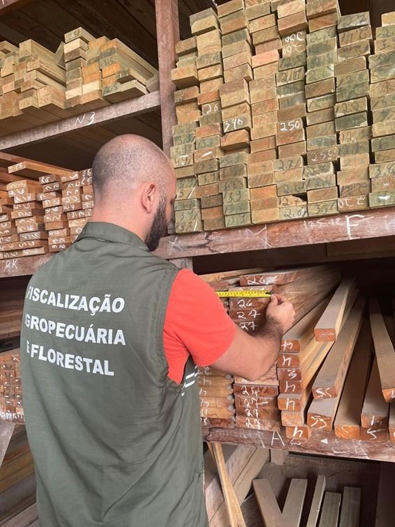 Renovação do registro de atividade florestal no Espírito Santo vai até março