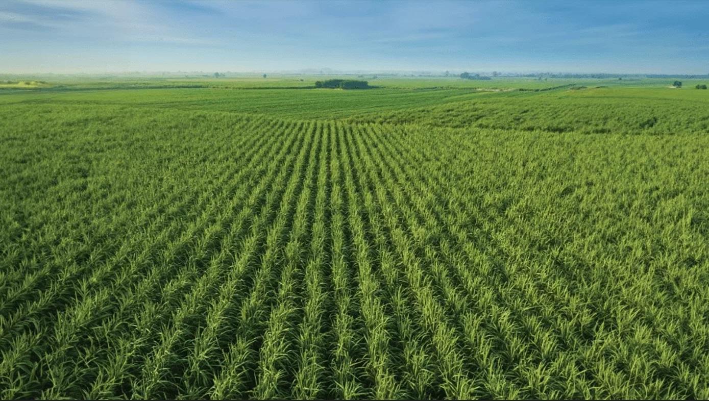Pedro Canário lidera crescimento do PIB na Região Norte do Espírito Santo