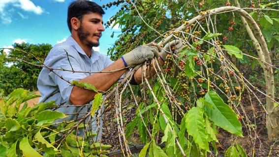 Produtores rurais impulsionam resultados ambientais e econômicos do Programa Reflorestar no Espírito Santo
