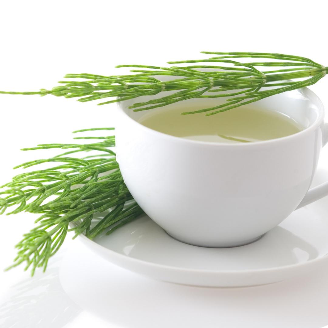 Cavalinha: chá diurético natural ajuda a reduzir inchaço, apoiar os rins e contribuir para a saúde óssea