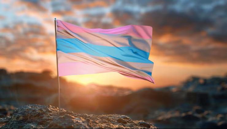 Dia Nacional da Visibilidade Trans: mudanças de gênero em cartórios crescem 12% no Espírito Santo em 2025