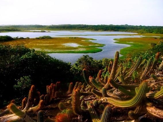 Parques Estaduais estarão abertos no Carnaval 2026