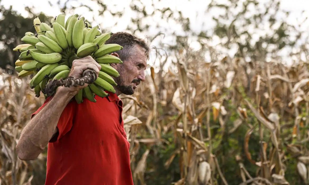 Câmara aprova uso de recursos do FGO em operações do Pronaf