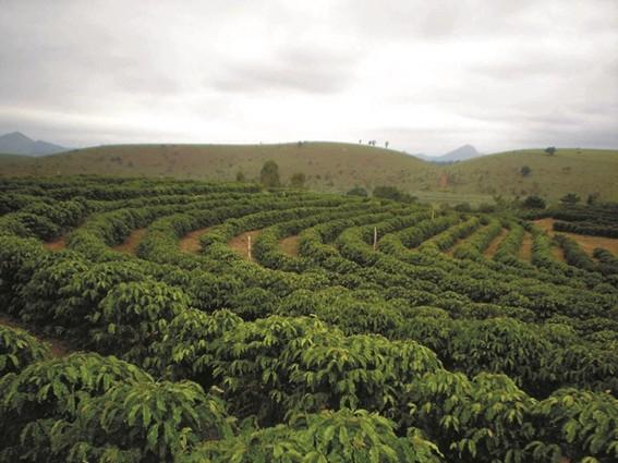 Incaper prevê chuvas dentro da média e temperaturas acima do normal em março no Espírito Santo