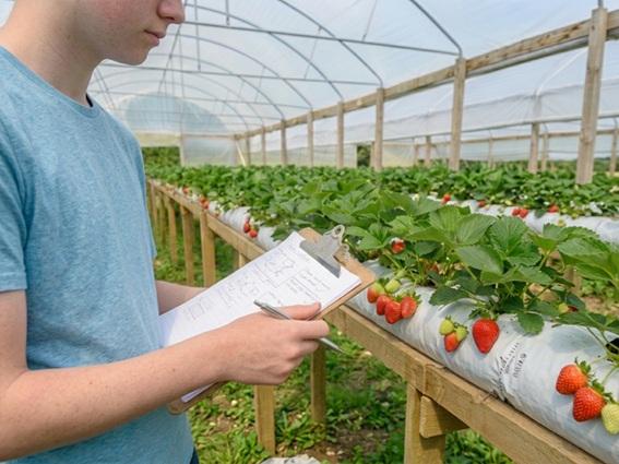Incaper vai desenvolver 14 novos projetos de iniciação científica com estudantes da rede pública do Espírito Santo