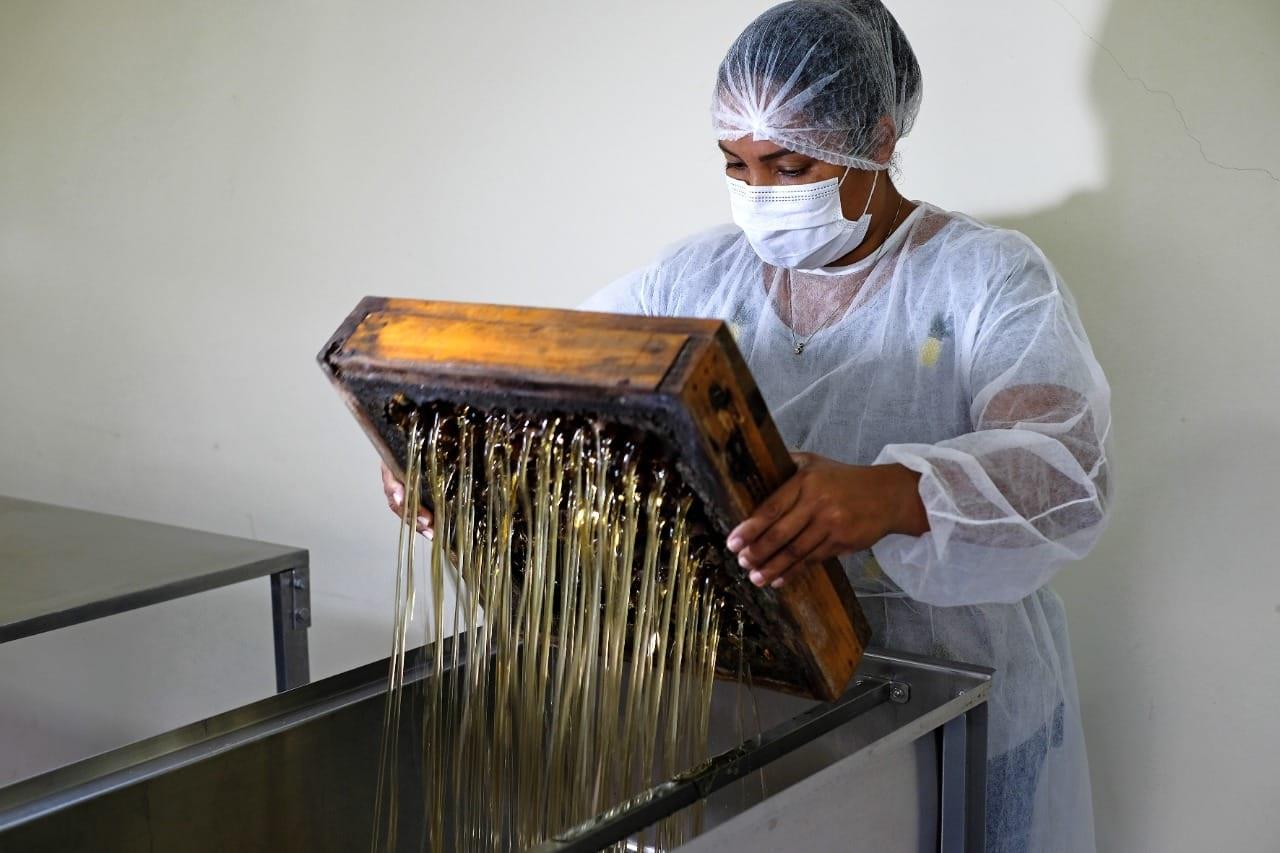 Com apoio da Suzano, agricultora indígena encontra na meliponicultura o caminho para sustentar a família