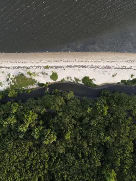 Especialistas alertam para riscos ambientais de intervenções em praias