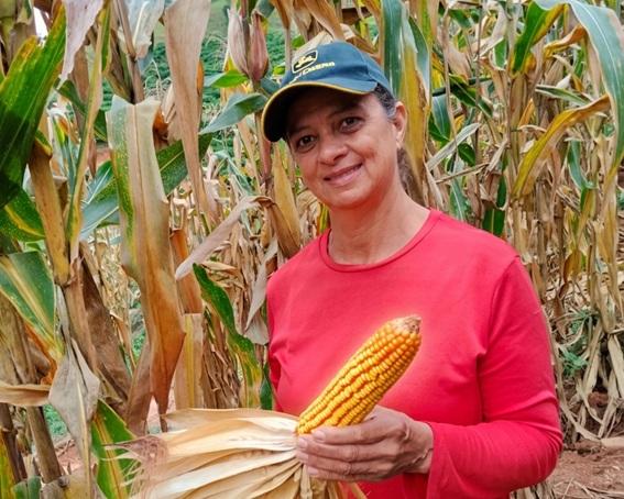 Incaper fomenta produção de milho na agricultura familiar do Espírito Santo com sementes e capacitação