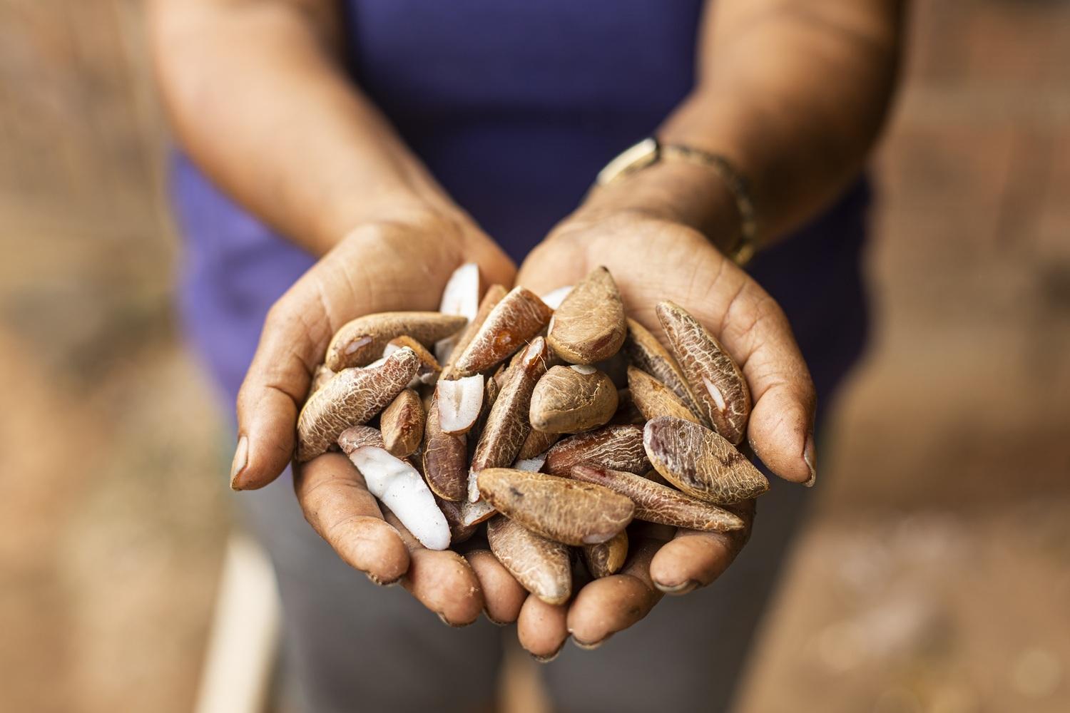 Suzano contribui para retirar mais de 140 mil pessoas da linha da pobreza em cinco anos em suas regiões de atuação