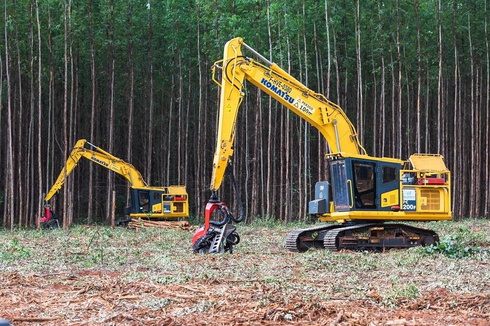 Suzano abre inscrições para formação remunerada de operadores de máquinas florestais trainee em Aracruz, no ES