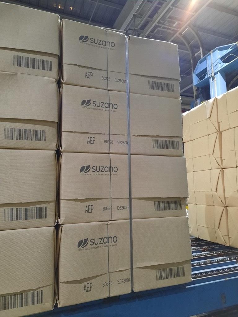 Suzano desenvolve o Eucanatural, celulose marrom de eucalipto para embalagens sustentáveis