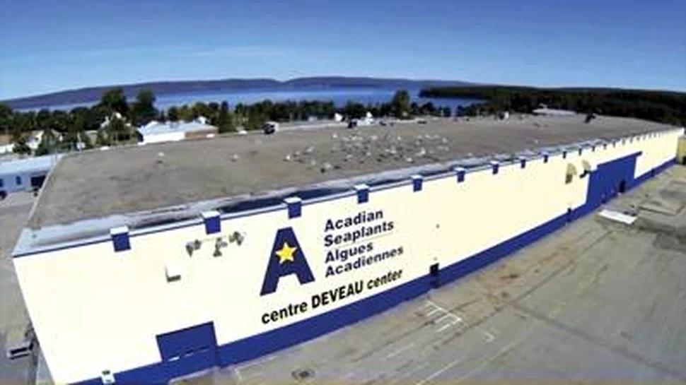 Acadian anuncia primeiro relatório de sustentabilidade e destaca papel positivo da alga Ascophyllum nodosum na agricultura mundial