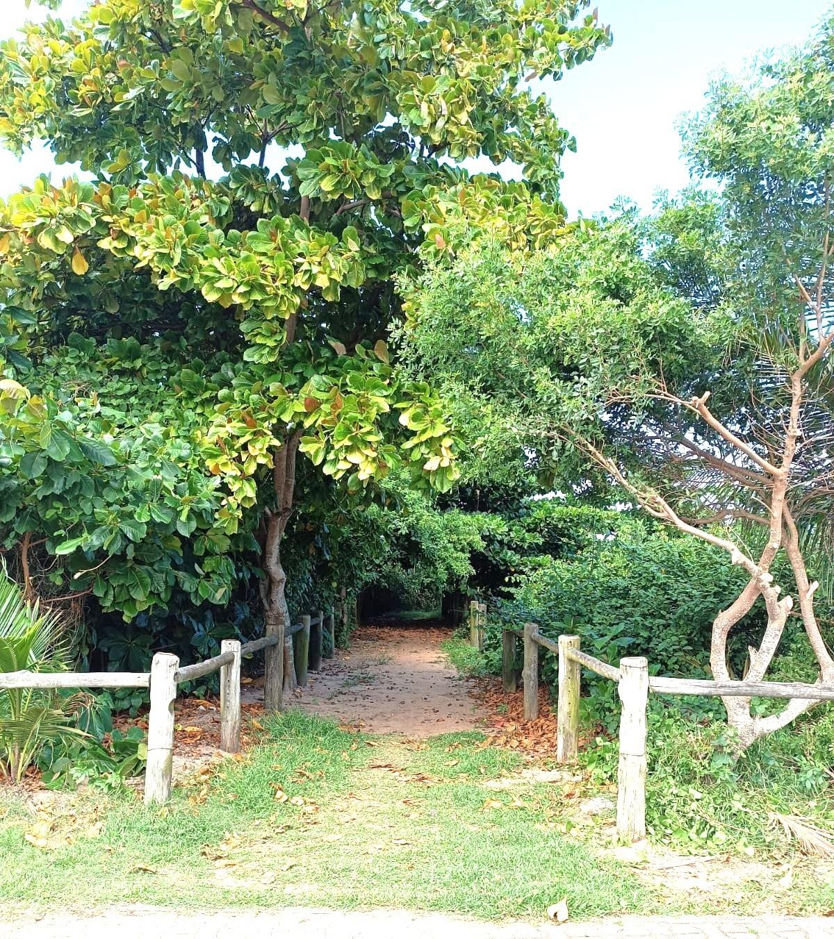 Vereadora Camila solicita poda de arbustos e limpeza dos acessos à praia na orla marítima de Conceição da Barra, ES