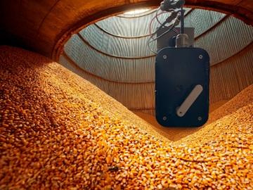 Tecnologia da ALLTIS faz monitoramento inteligente e digital dos silos, agilizando a tomada de decisões nas granjas