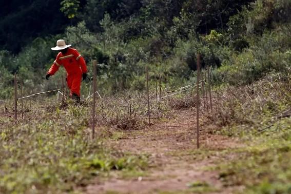 Governo repassa mais de R$ 35 milhões para retomada econômica de comunidades rurais da Bacia do Rio Doce