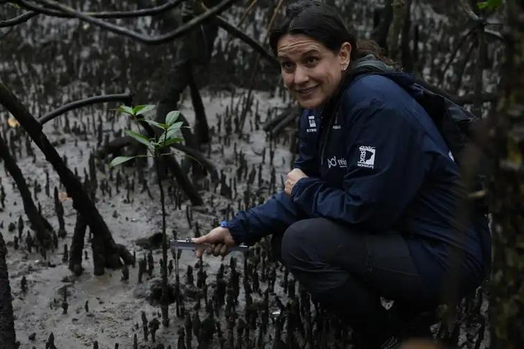 Pesquisadores identificam presença de mercúrio e chumbo em caranguejos