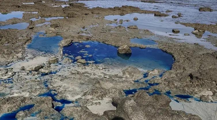 Comunidade na orla baiana sofre há 100 dias com contaminação da praia
