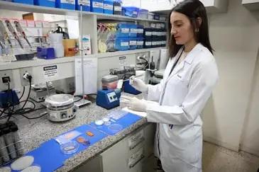 Carne de laboratório: conheça a técnica desenvolvida pela Embrapa