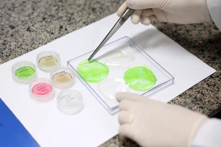 Carne de laboratório: conheça a técnica desenvolvida pela Embrapa