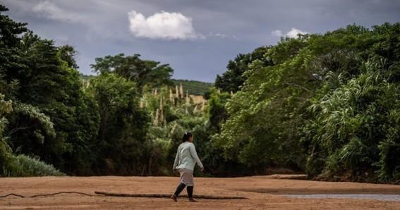 Governo do Brasil lança edital de Florestas Produtivas com Barraginhas para comunidades rurais do Rio Doce