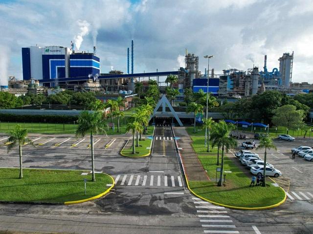 Suzano está com oportunidades de emprego em Aracruz e Cachoeiro de Itapemirim, no ES