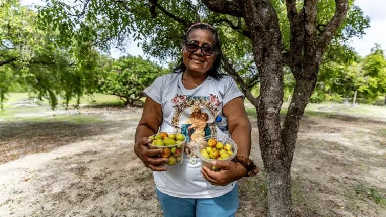 Catadoras de mangaba resistem à especulação imobiliária em Aracaju
