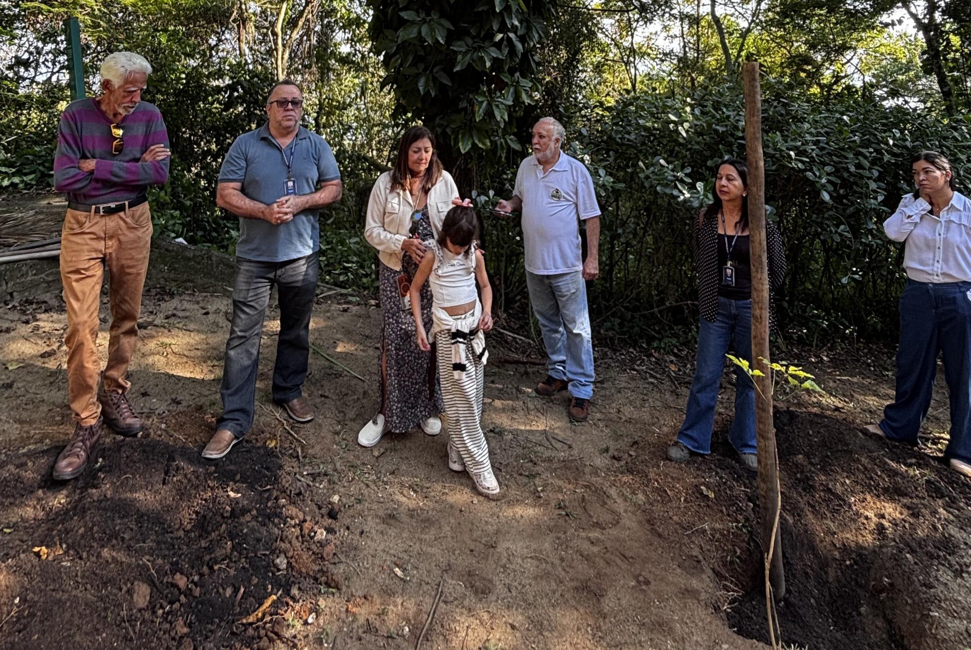 Parque da Fonte Grande recebe mudas de ipê-amarelo em ação de reflorestamento