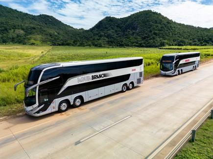 Frota especial dos 80 anos da Viação Águia Branca ganha mais dois ônibus com pinturas históricas