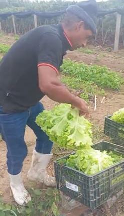 Agricultor transforma a vida da família com apoio da Suzano