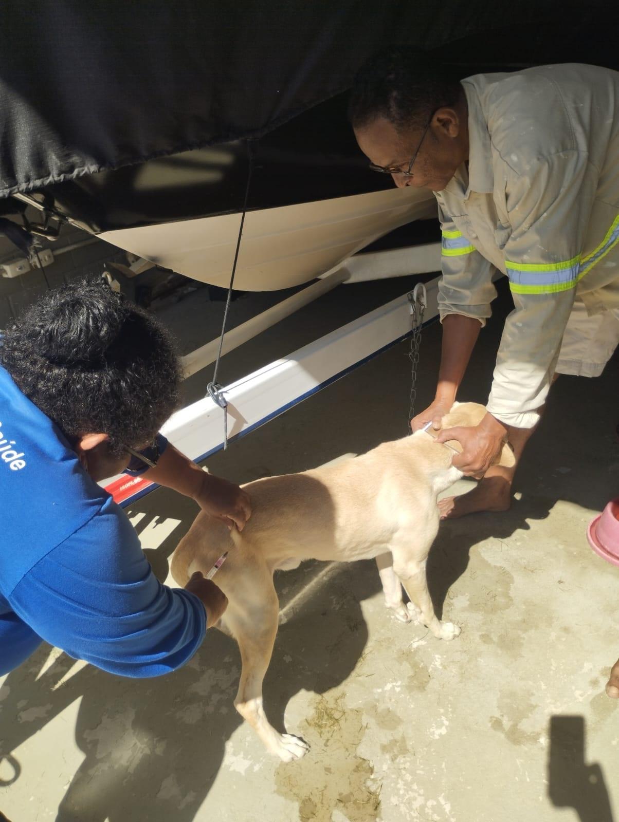 Prefeitura de Conceição da Barra, no ES, avança na campanha de vacinação antirrábica e imuniza mais de 650 animais