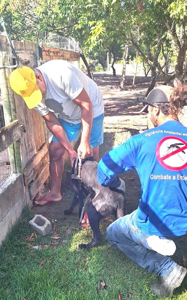 Prefeitura de Conceição da Barra, no ES, avança na campanha de vacinação antirrábica e imuniza mais de 650 animais