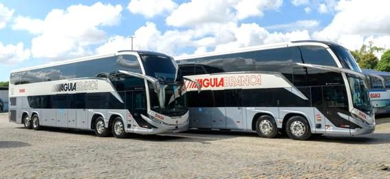 Da estrada de terra ao ônibus conectado: 80 anos da Viação Águia Branca ajudam a contar a evolução da mobilidade brasileira