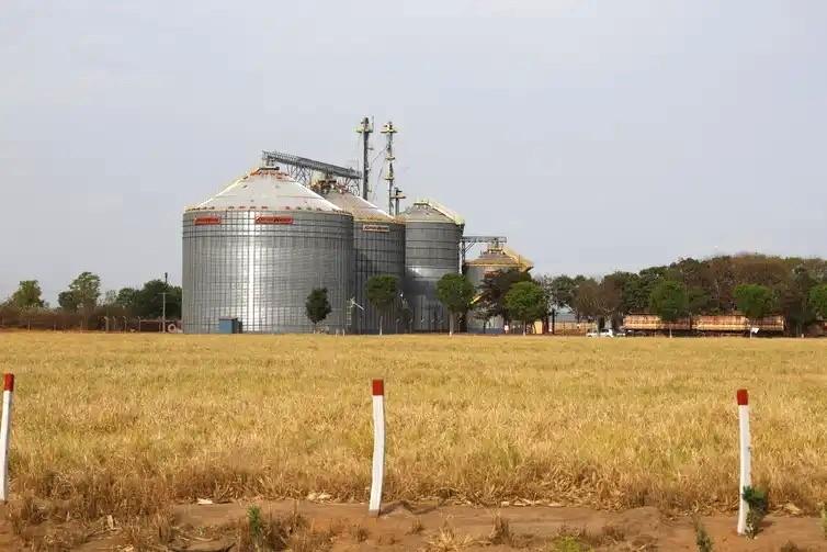 Sete dos dez agrotóxicos mais vendidos no Brasil são proibidos na EU