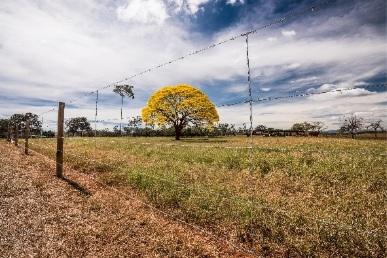 Sustentabilidade na prática: o que protege a natureza e fortalece a produção?