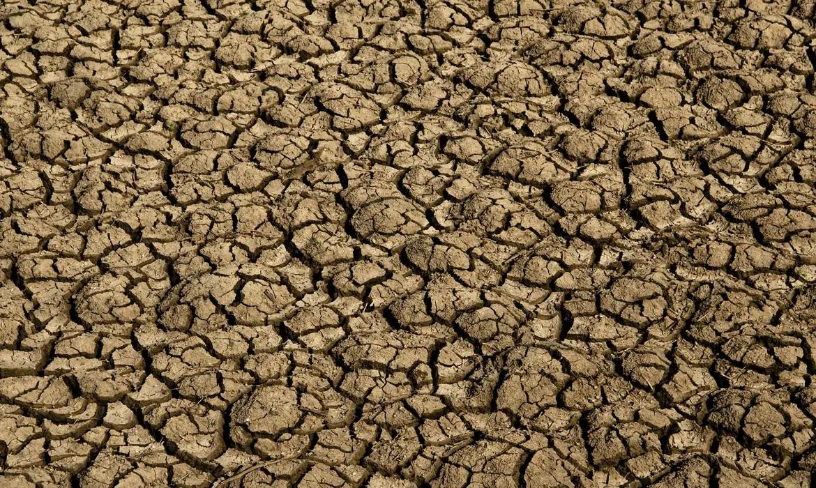 Desertificação no Brasil ameaça segurança hídrica e alimentar