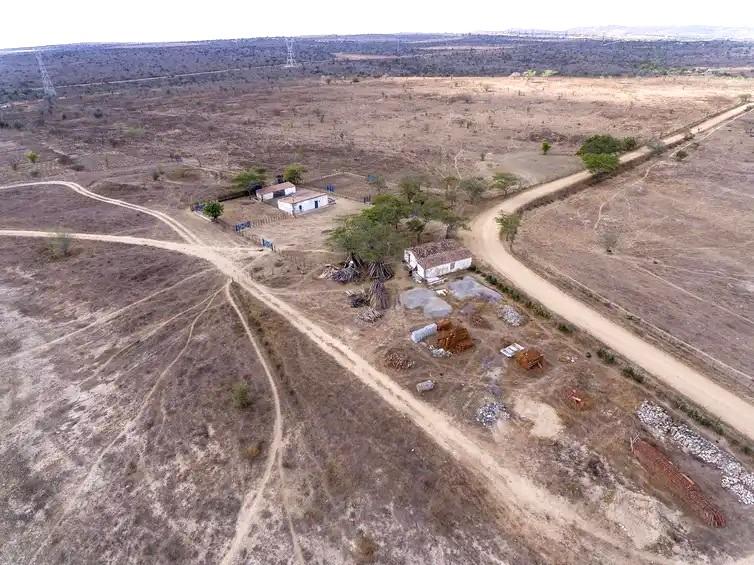 Desertificação no Brasil ameaça segurança hídrica e alimentar