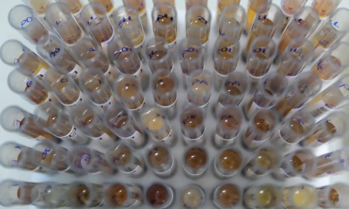 Uso de medicamento oferecido no SUS reduz casos de malária no Brasil