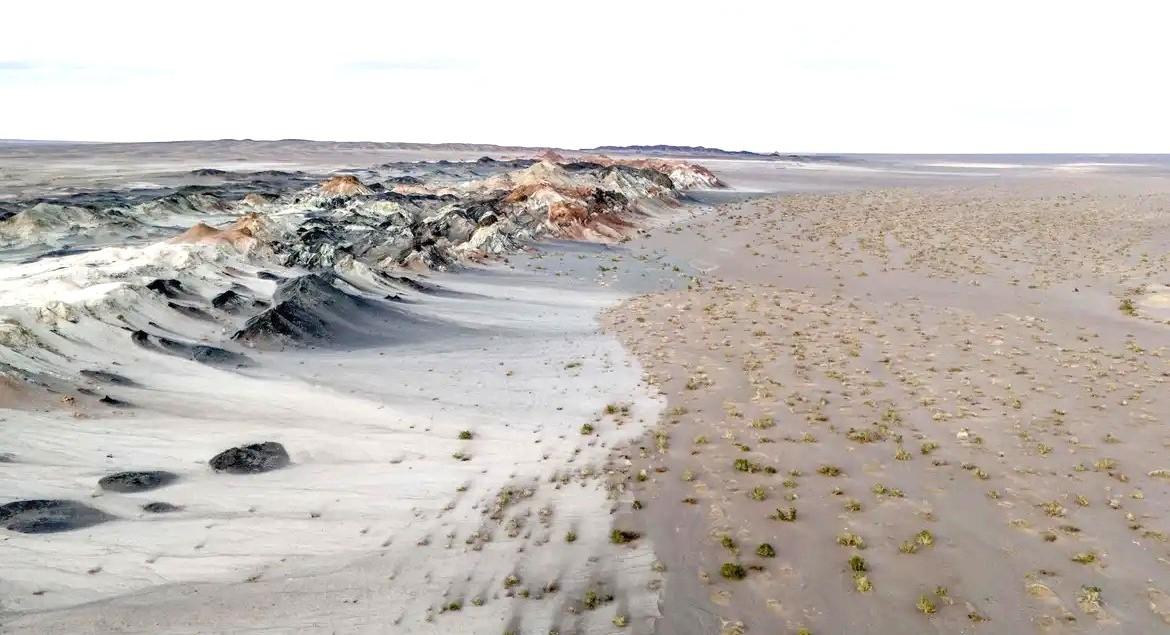 Fungos podem restaurar terras degradadas e combater crise climática