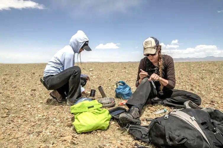 Fungos podem restaurar terras degradadas e combater crise climática
