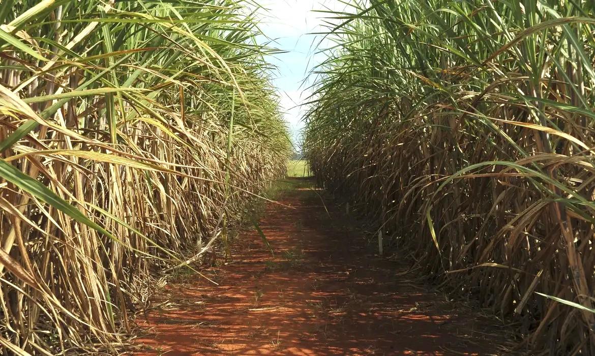 Conselho eleva limite de remuneração do Eco Invest Brasil