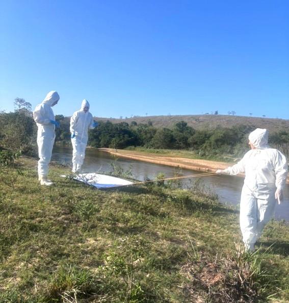 Prefeitura de Boa Esperança, no ES, reforça vigilância contra a febre maculosa com coleta de carrapatos em áreas investigadas
