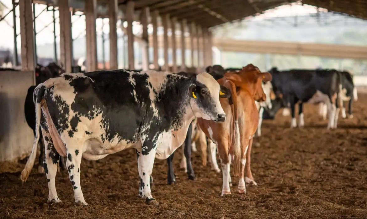 UE suspende carnes do Brasil: Entenda impacto e próximos passos