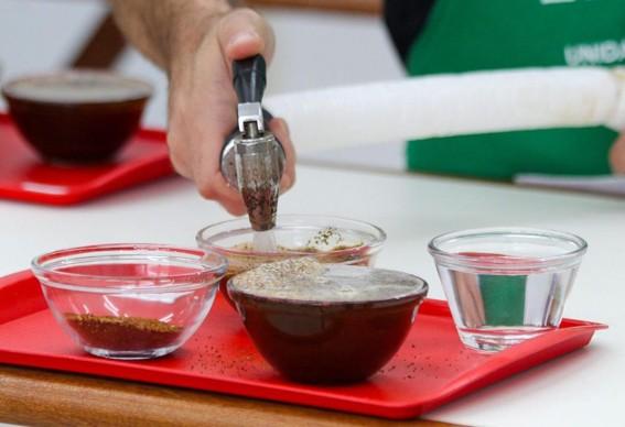 Veja lista de classificados para a final do 9° Concurso da Qualidade do Café Conilon de Linhares, no ES