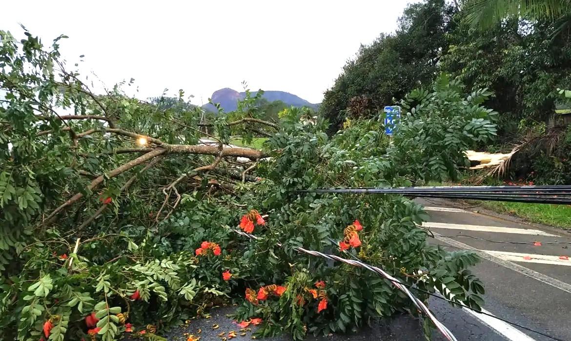 Alerta de tempestade: frente fria amplia instabilidade na Região Sul
